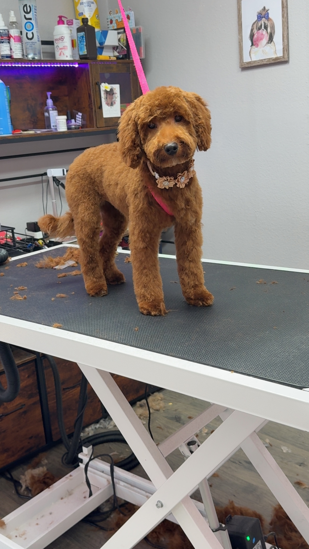 After grooming