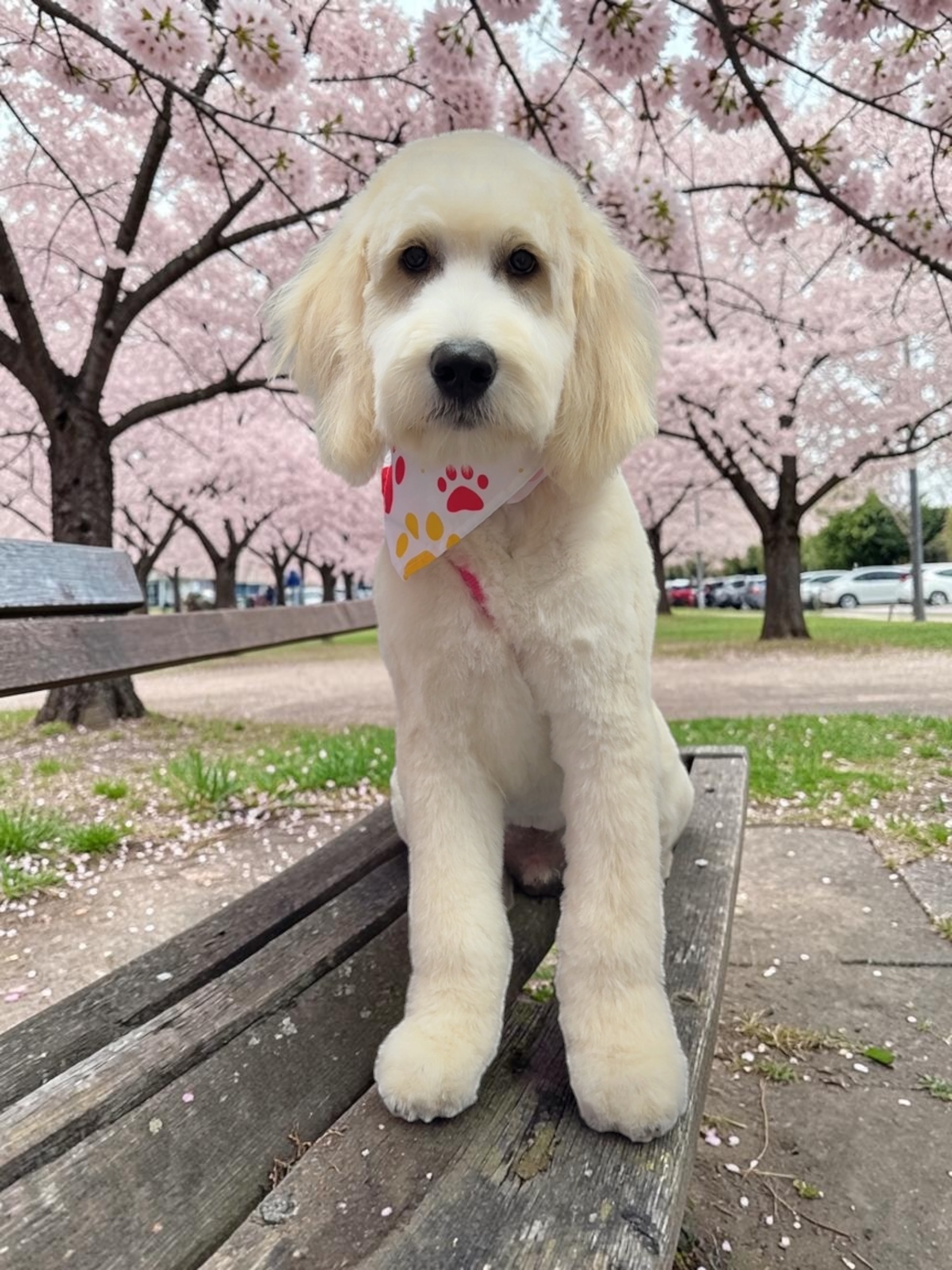 After grooming