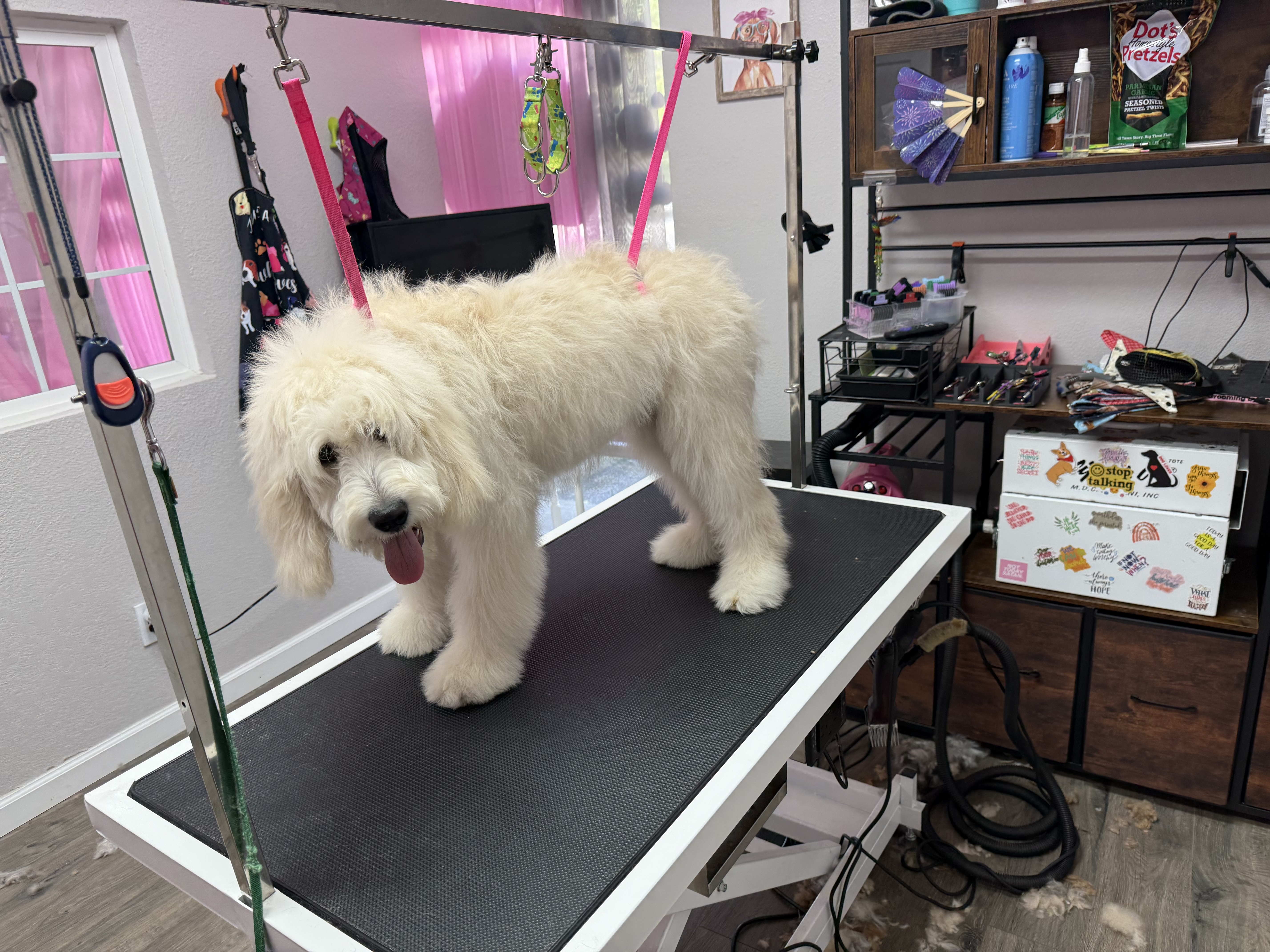 Before grooming