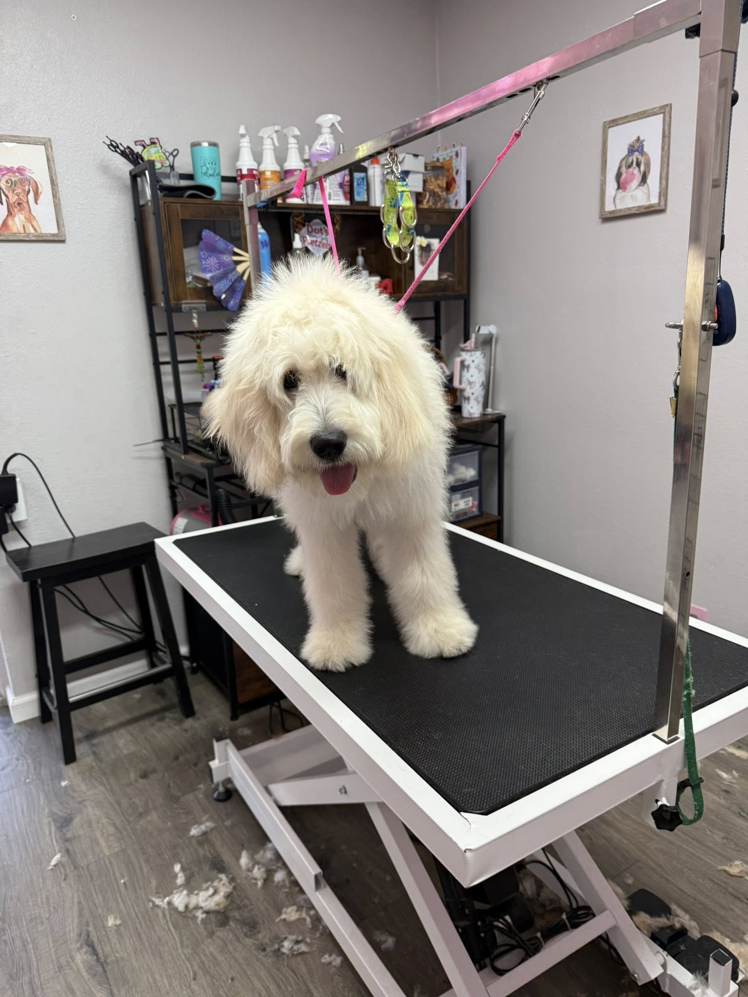 Grooming Transformation