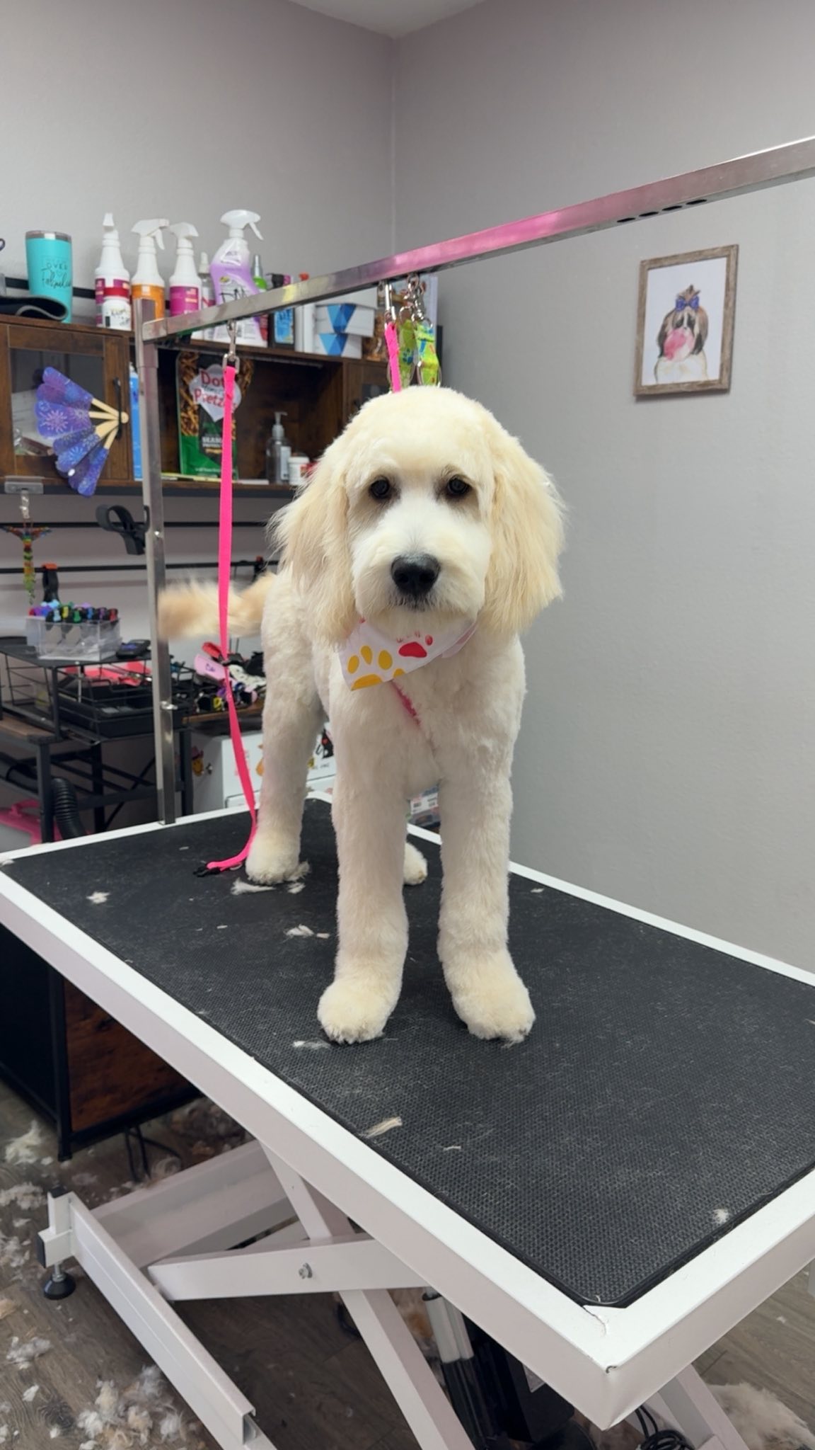 Grooming Transformation