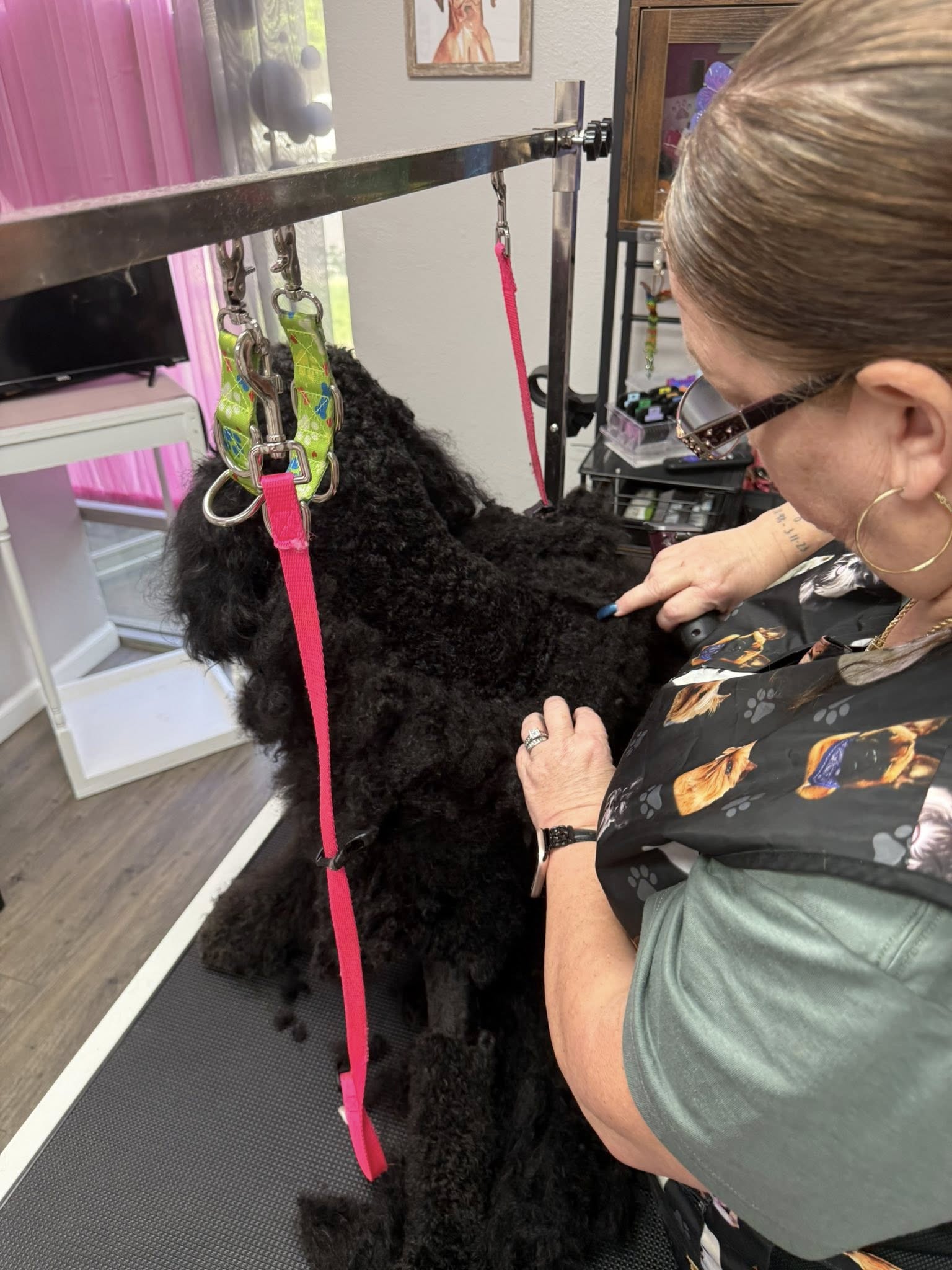Grooming Transformation