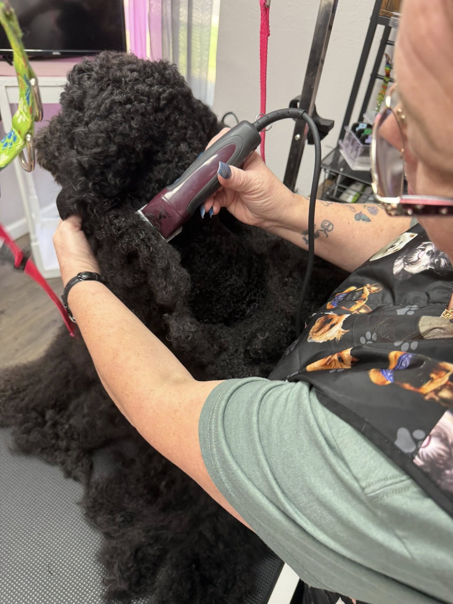 Grooming Transformation