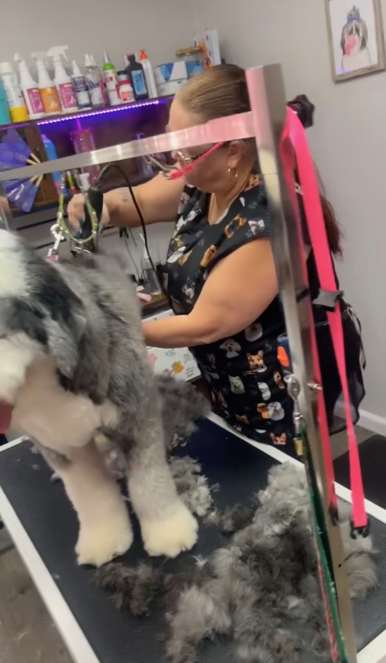 Grooming Transformation