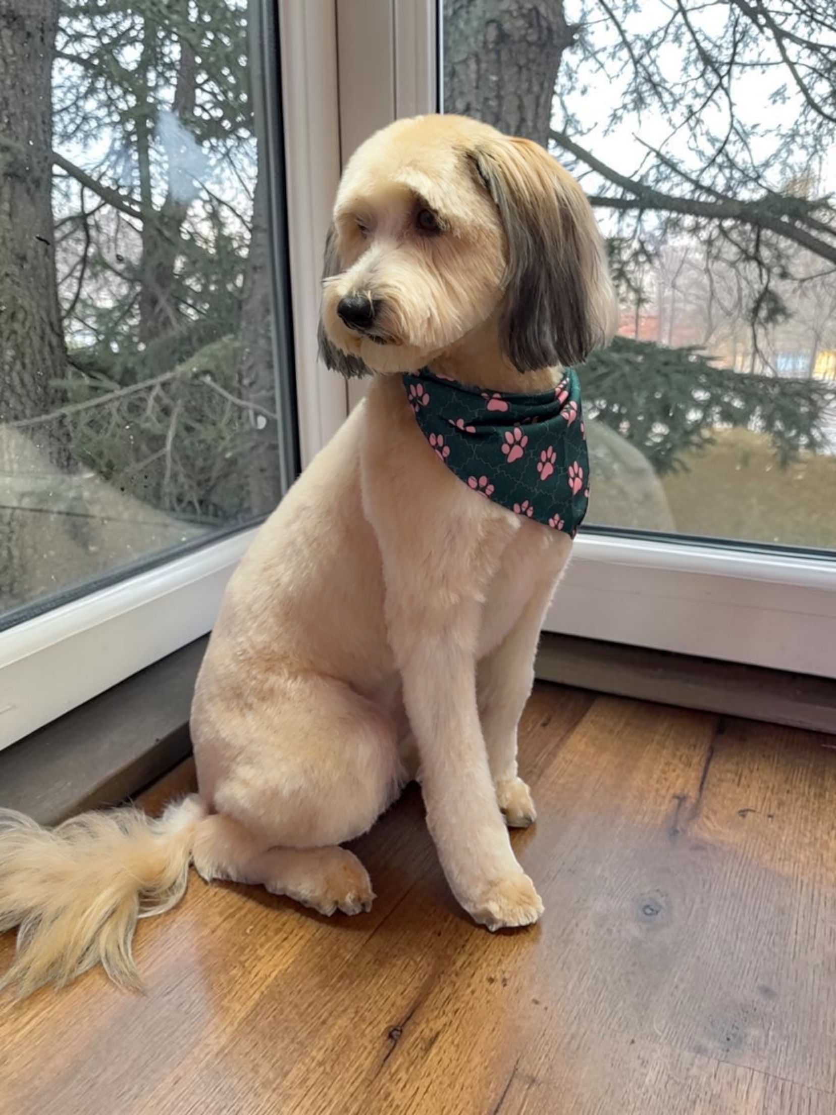 Grooming Transformation