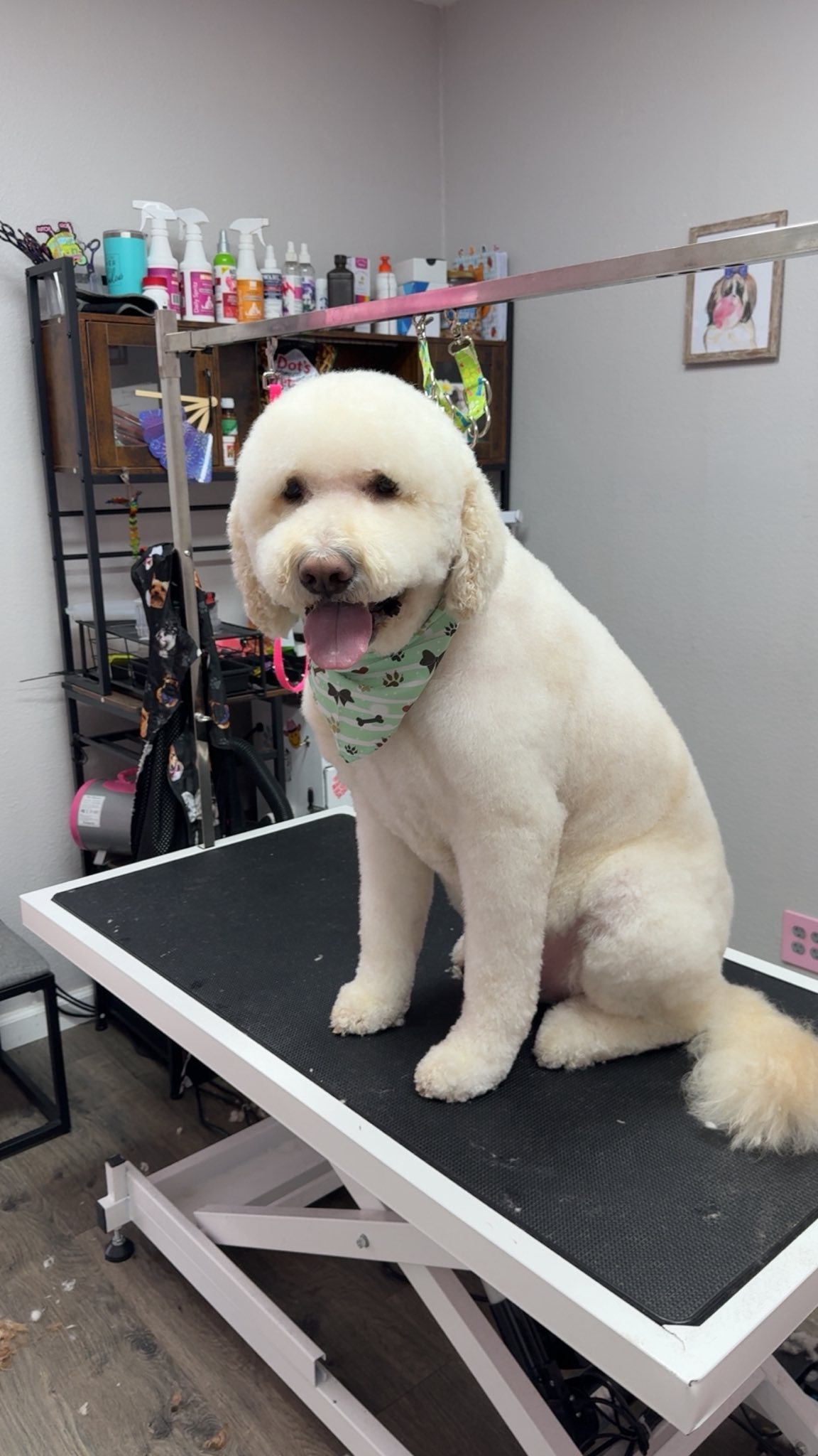 Grooming Transformation