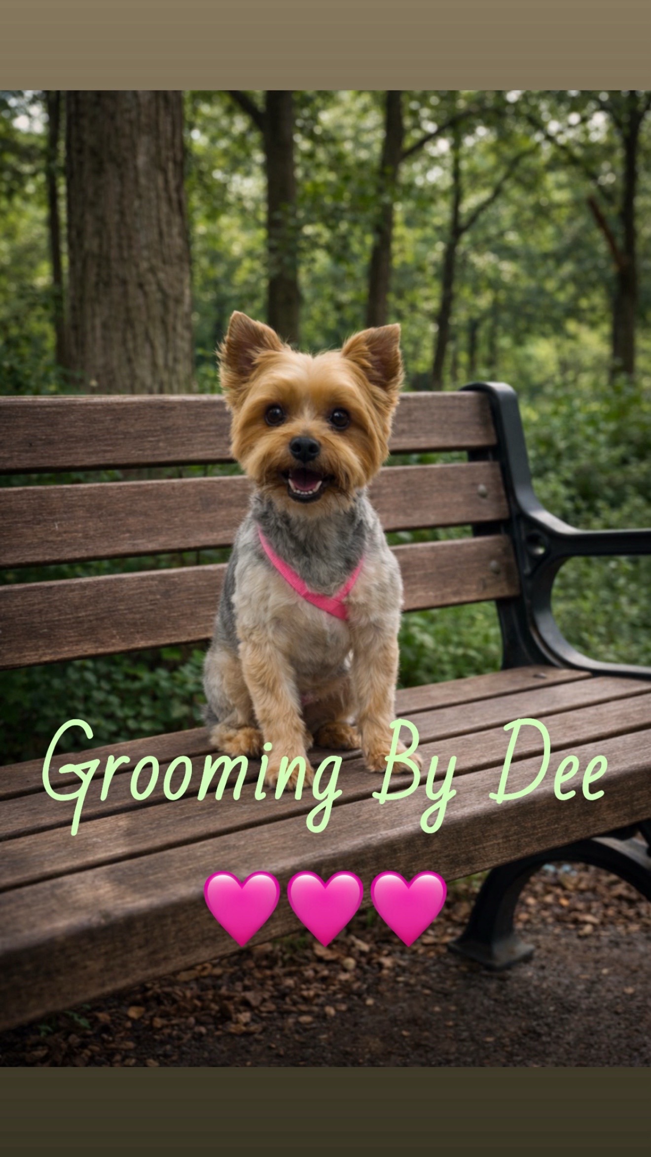 Grooming Transformation