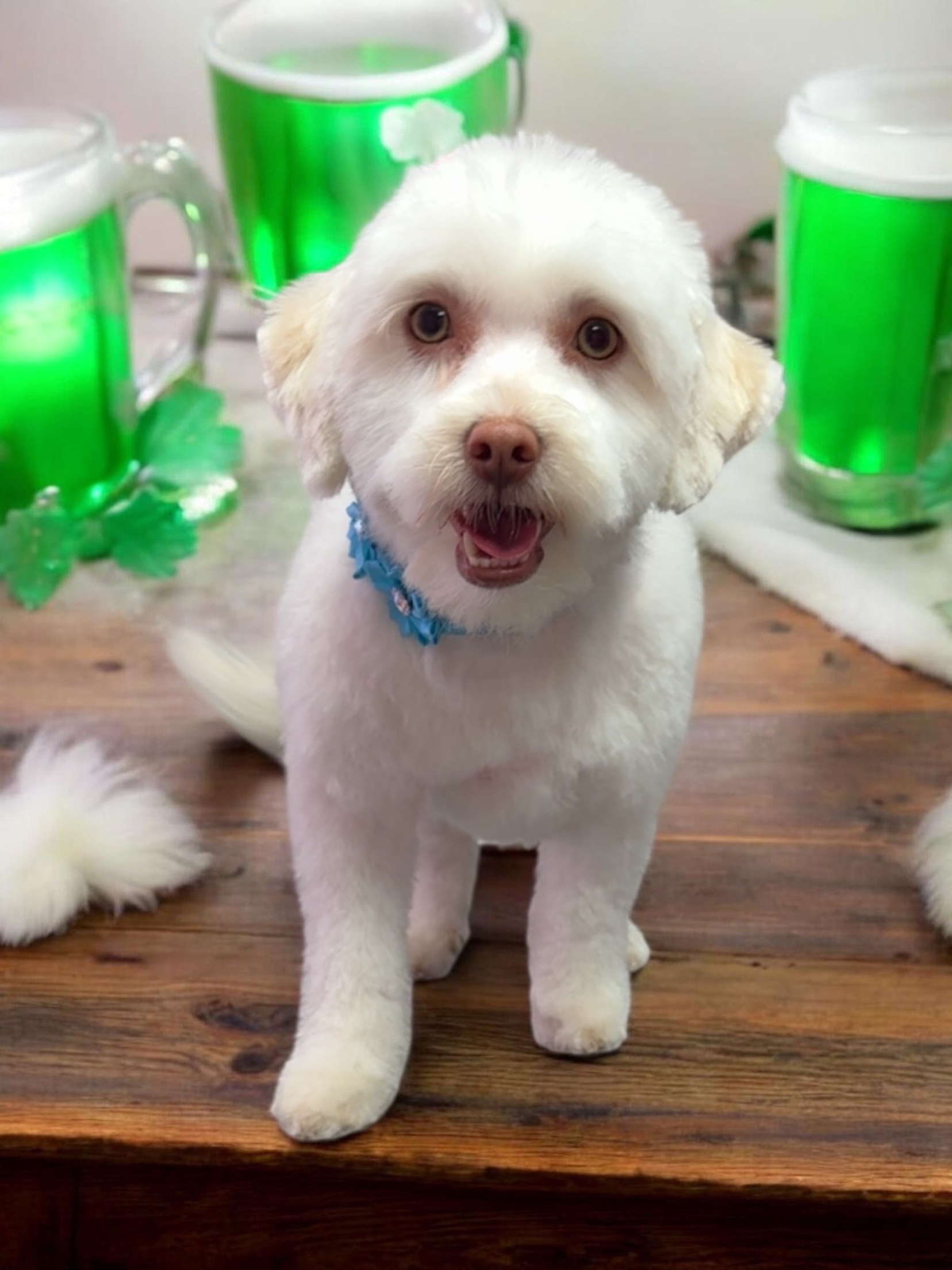 Grooming Transformation