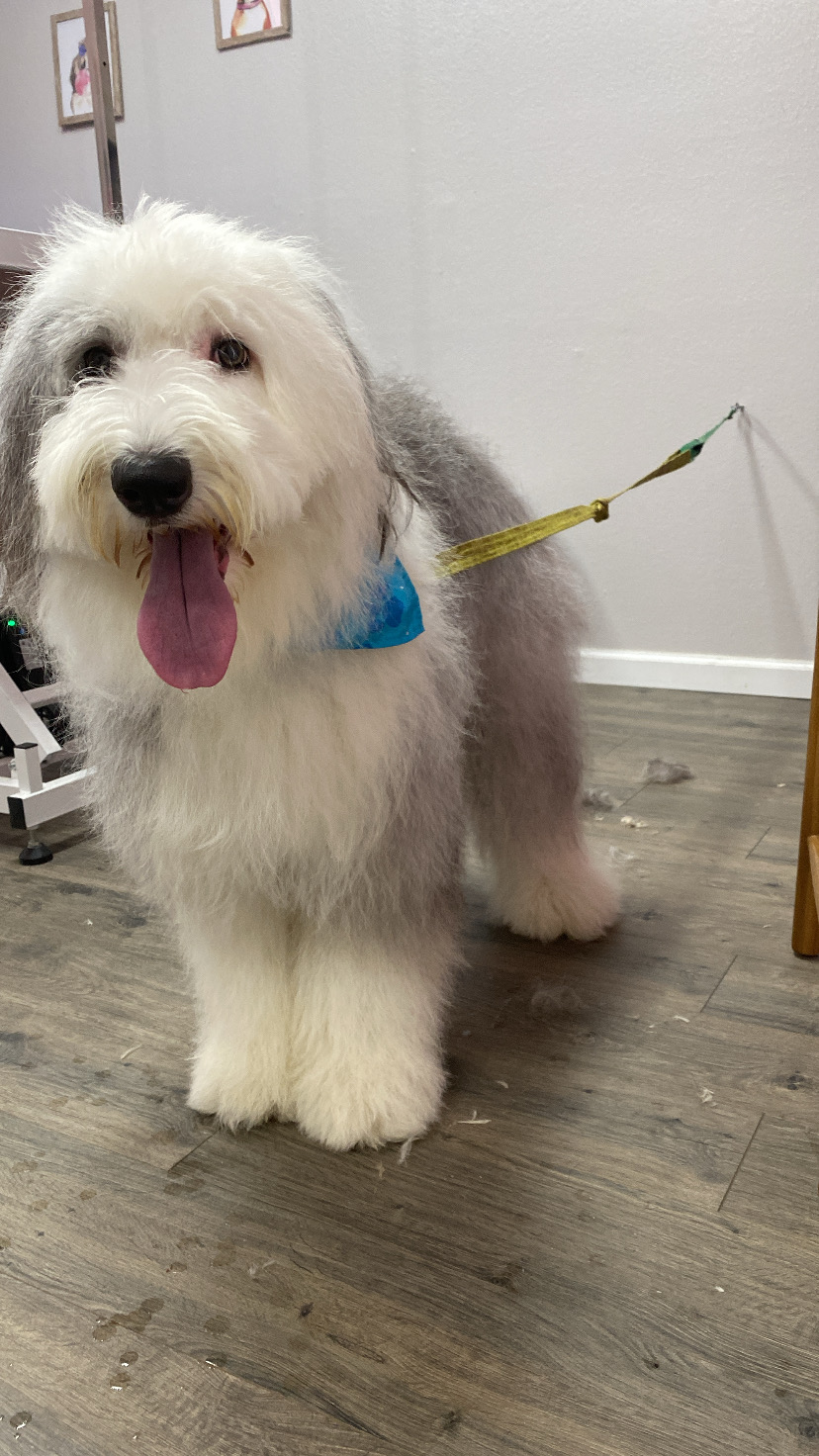 Grooming Transformation