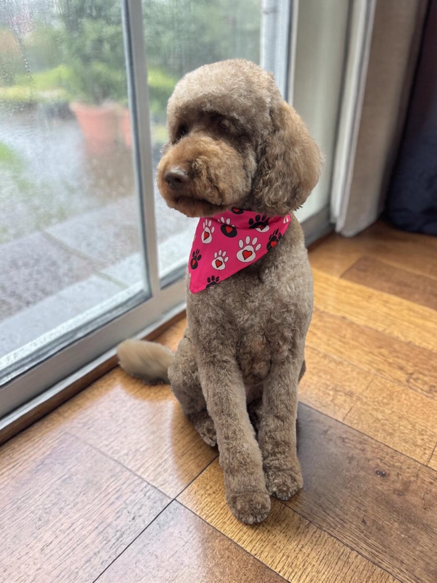 Grooming Transformation