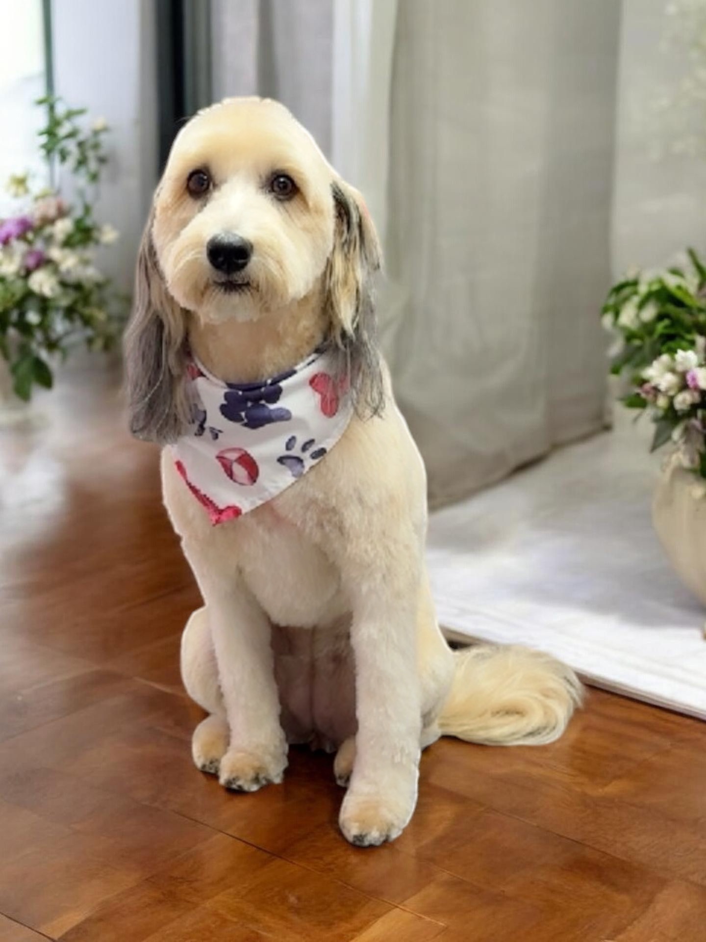Grooming Transformation