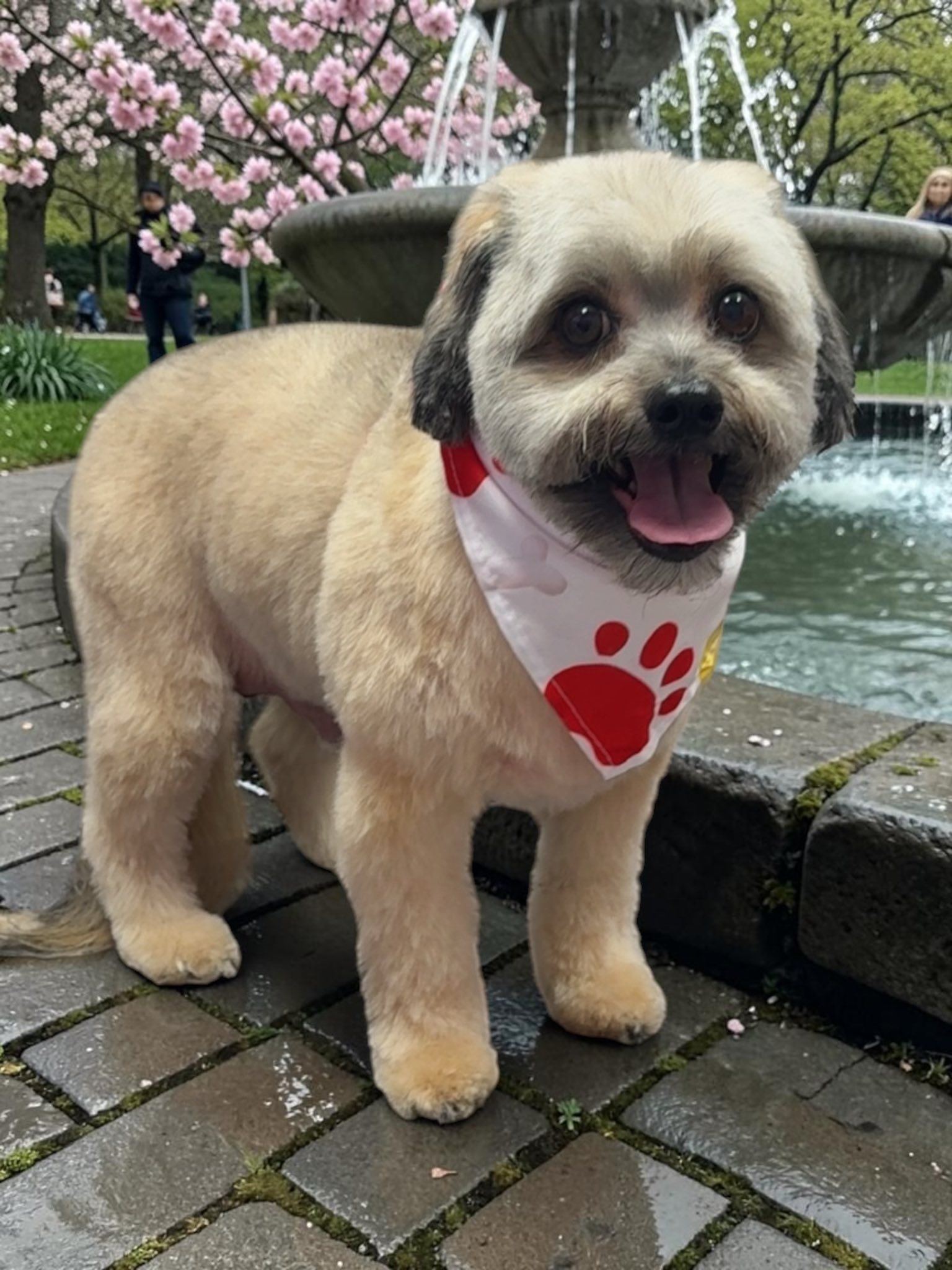 Grooming Transformation